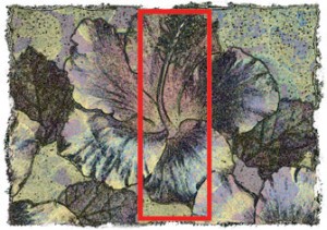 note card image  cropped