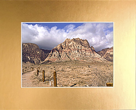 Brushed Gold Foil Archival Mat