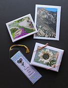 Custom Printed Greeting Cards