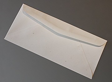 Tortilla Recyled #10 Speckled Envelope