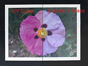 A6 UV Glass - 4-3/4x6-1/2