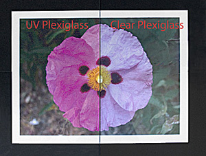 A6 UV Plexiglass - 4-3/4x6-1/2