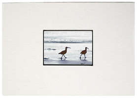 8" X 10" White Mat w/ Black Core - 5" x 7" Window