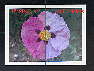 UV Plexiglass