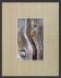 5" x 7" Linen Canvas Mat - 4" x 6" Window