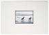 18" x 24" White Mat w/ Black Core - 16" x 20" Window