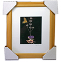 Artwork Frames, Framing and Protection