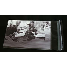6" x 8" Photo Bags (sleeves) 6-7/16" x 8-1/4"