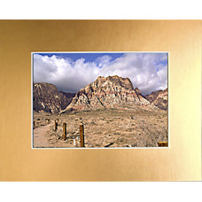 16" x 20" Brushed Gold Foil Mat - 12" x 18" Window