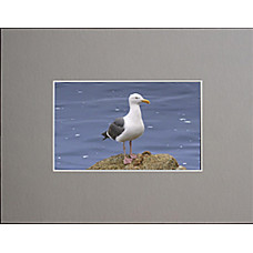 11" x 14" Photo Grey Mat - 8-1/2" x 11" Window