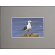 4" x 6" Photo Grey Mat - 2" x 3" Window