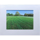 4" x 6" Spanish White Photo Mat - 3" x 5" Window