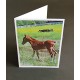 Custom Printed A7 Greeting Cards