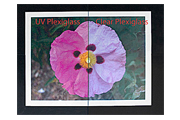 UV Plexiglass
