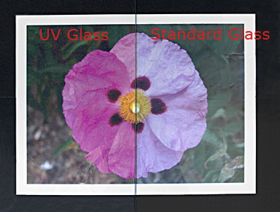 UV Glass